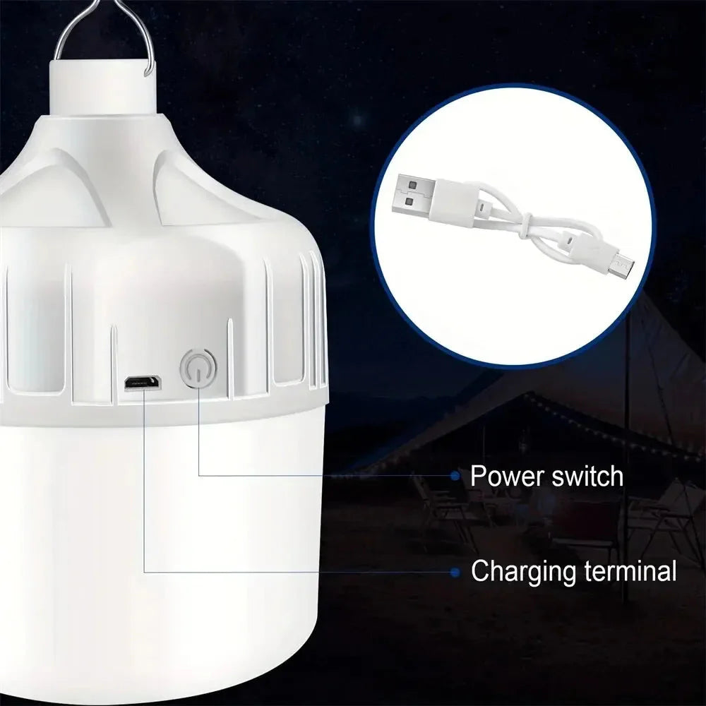USB & Solar Powered Outdoor Light